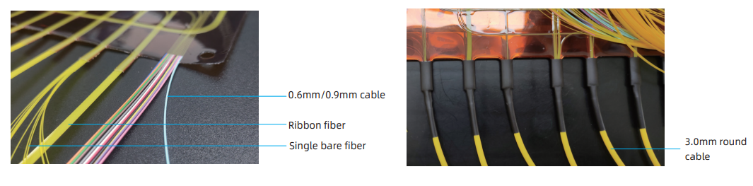 leading-out-forms.png leading-out-forms.png