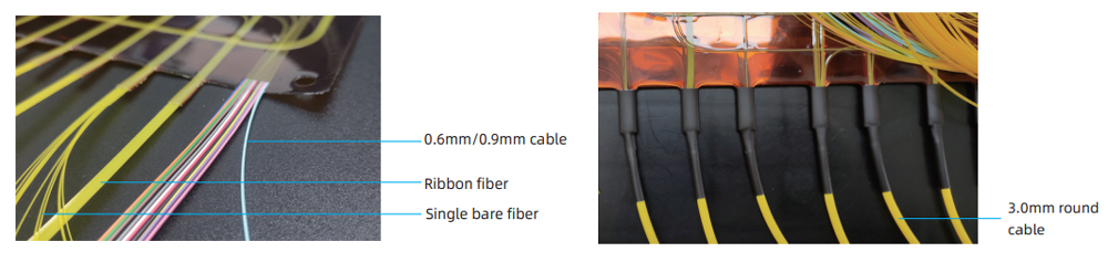 Leading-out Forms Leading-out Forms