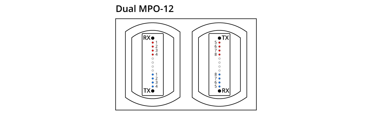 800g-optical-transceiver-modules-20240801-2.jpg