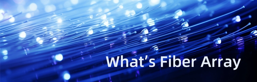 What's Fiber Array?