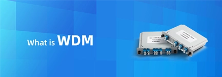 What is WDM?