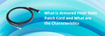 What is Armored ​Fiber Optic Patch Cord and What Are the Characteristics?