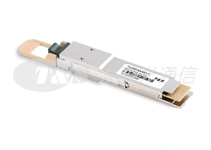 800G QSFP-DD SR8 100m